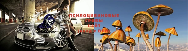 тгк Няндома