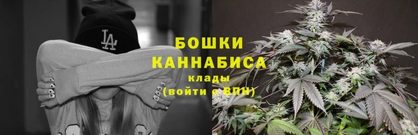 тгк Няндома