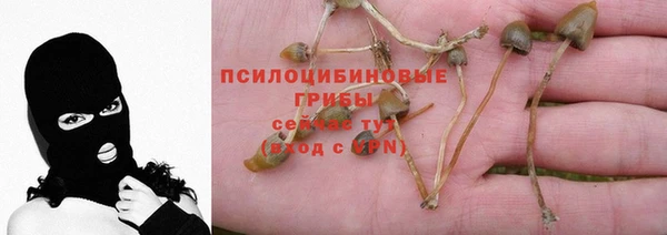 тгк Няндома