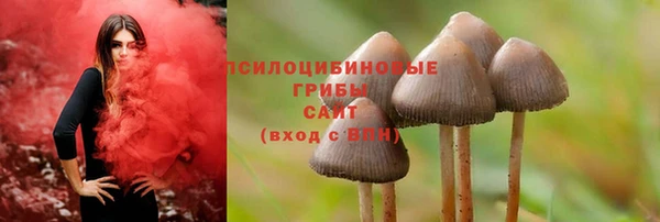 mdpv Нязепетровск