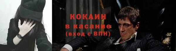тгк Няндома