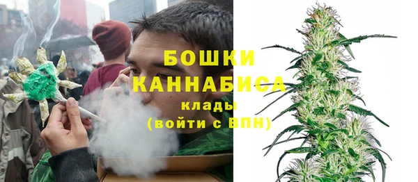 тгк Няндома