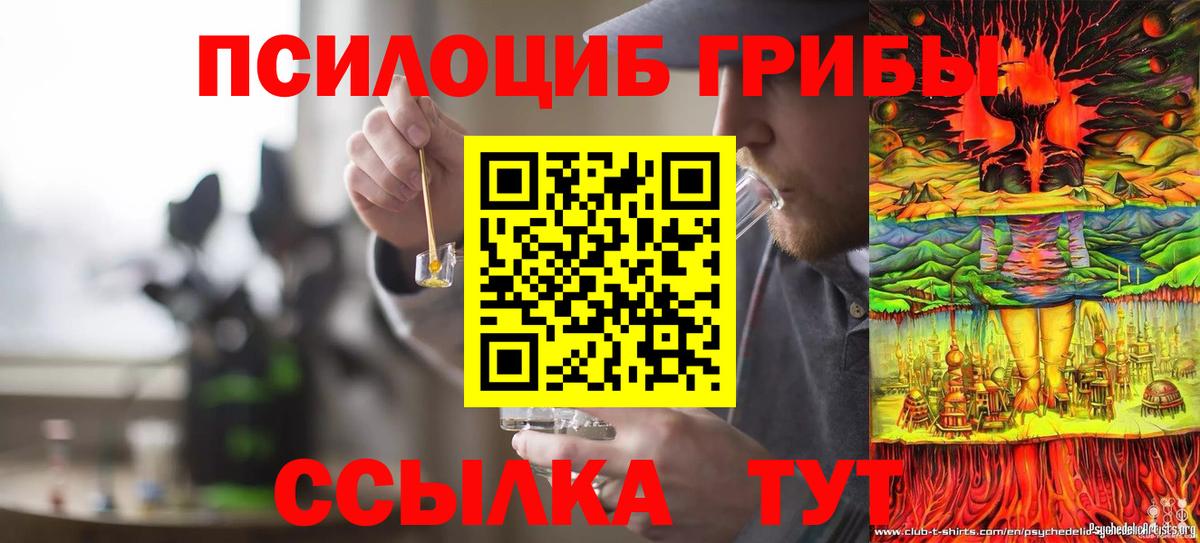 Псилоцибиновые грибы ЛСД  Вход с VPN  Псилоцибиновые грибы мухоморы  где продают наркотики  Каменск-Уральский 